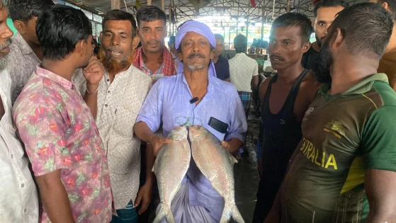 Image related to নোয়াখালীতে ২ ইলিশ বিক্রি হলো সাড়ে ১১ হাজার টাকায়