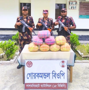লালমনিরহাটে ৪ পয়েন্টে বিজিবির হানা: গাঁজা ও মদ উদ্ধার