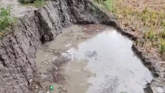 নোয়াখালীতে খেলা করতে গিয়ে প্রাণ গেল চার শিশুর