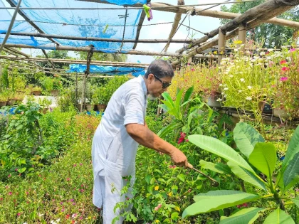 ৪৫ বছর ধরে বিনামূল্যে গাছ দিয়ে বেড়াচ্ছেন মাদারীপুরের রাজন মাহমুদ