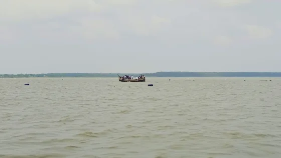 মেঘনা নদীতে মাছ ধরতে গিয়ে জেলের মৃত্যু